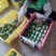 百色金煌芒电商平台团购平台整车发货一件代发电话联系