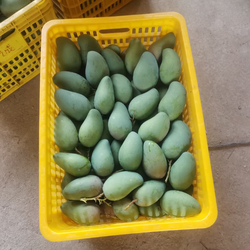 百色金煌芒电商平台团购平台整车发货一件代发电话联系