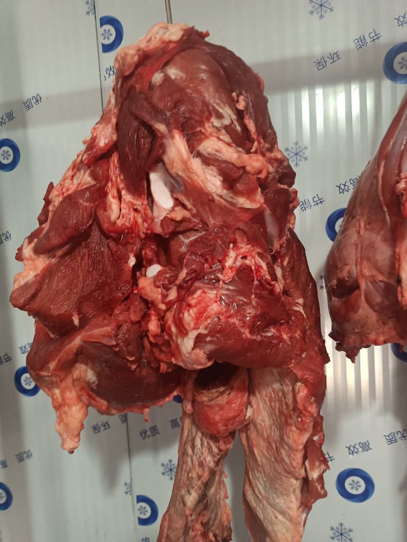 鲜牛肉15一斤