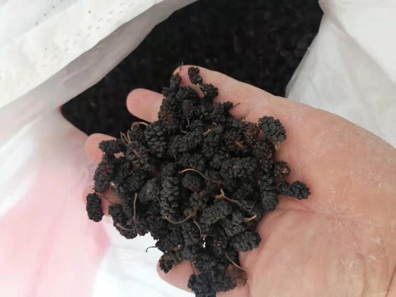 桑葚干黑白桑葚干药用通货桑椹子桑果干泡