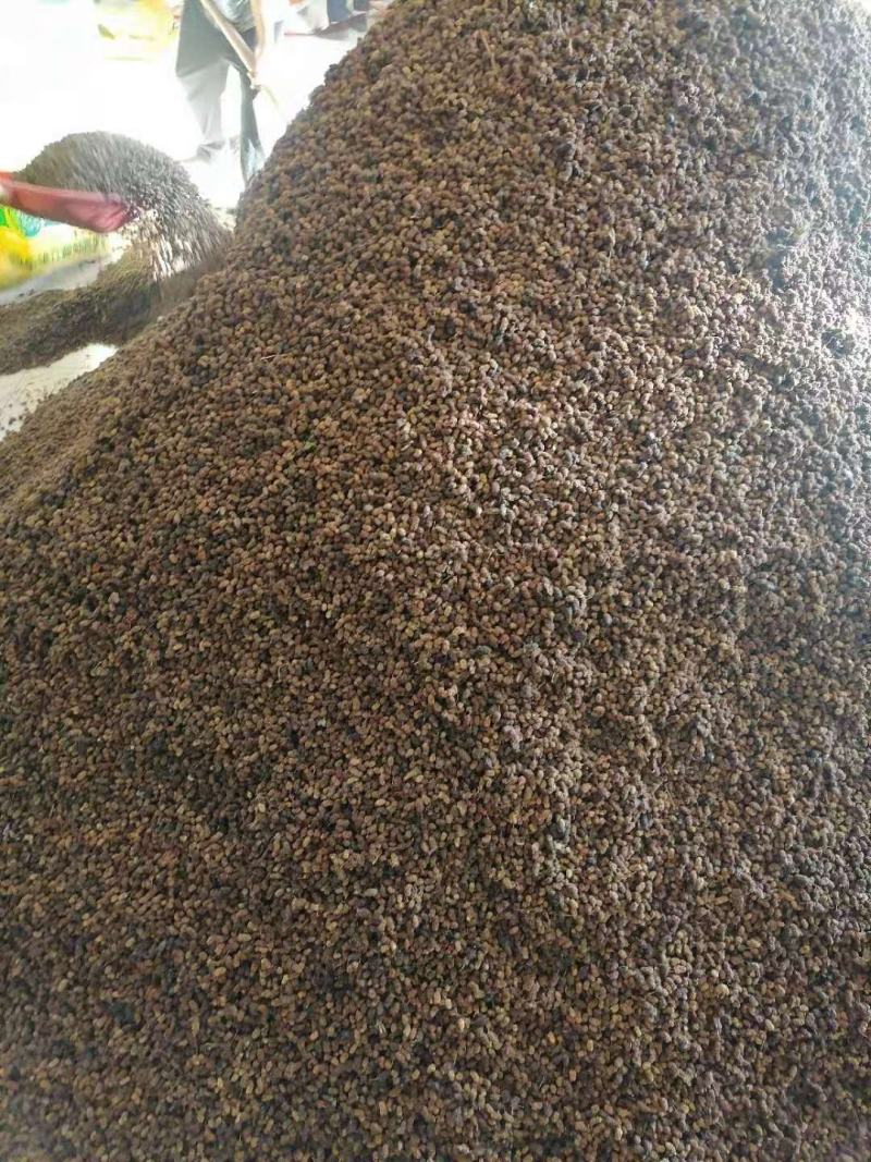 桑葚干黑白桑葚干药用通货桑椹子桑果干泡