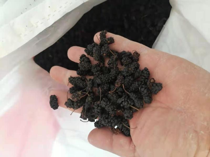 桑葚干黑白桑葚干药用通货桑椹子桑果干泡