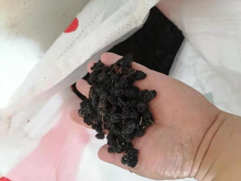 桑葚干黑白桑葚干药用通货桑椹子桑果干泡