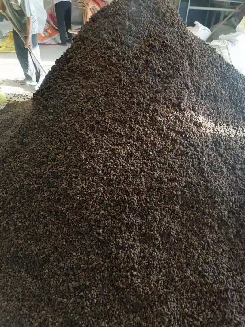 桑葚干黑白桑葚干药用通货桑椹子桑果干泡