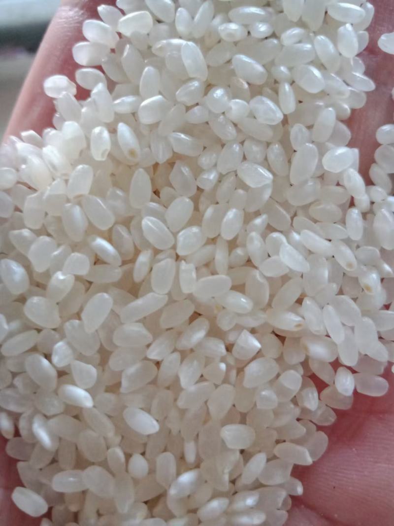 25年粳稻嘉花，优粳，出米70-71，口感**，米饭香甜