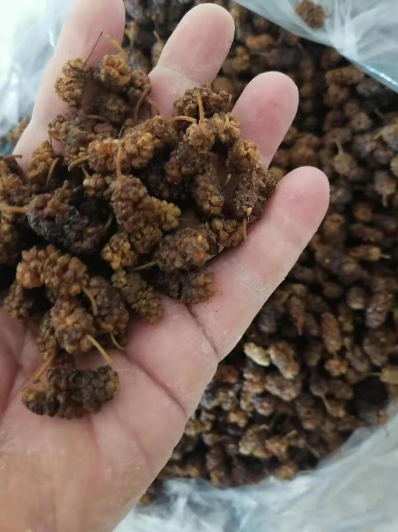 桑椹干白桑椹药用通货桑椹干桑果干泡