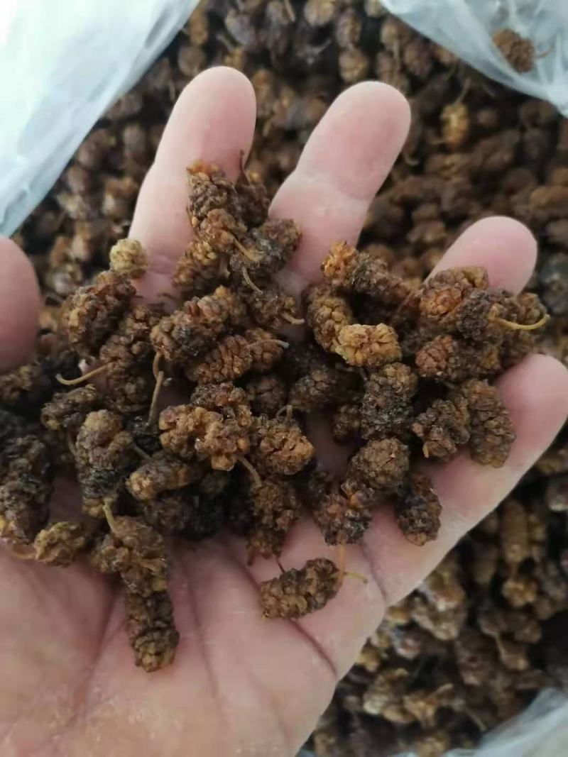 桑椹干白桑椹药用通货桑椹干桑果干泡