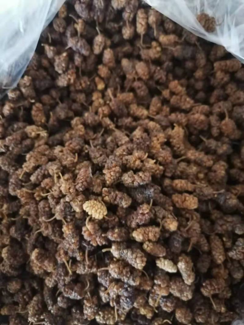 桑椹干白桑椹药用通货桑椹干桑果干泡