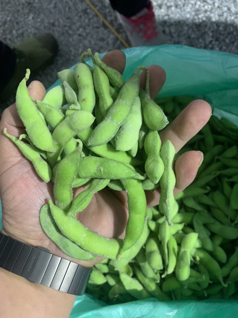 精品翠绿宝