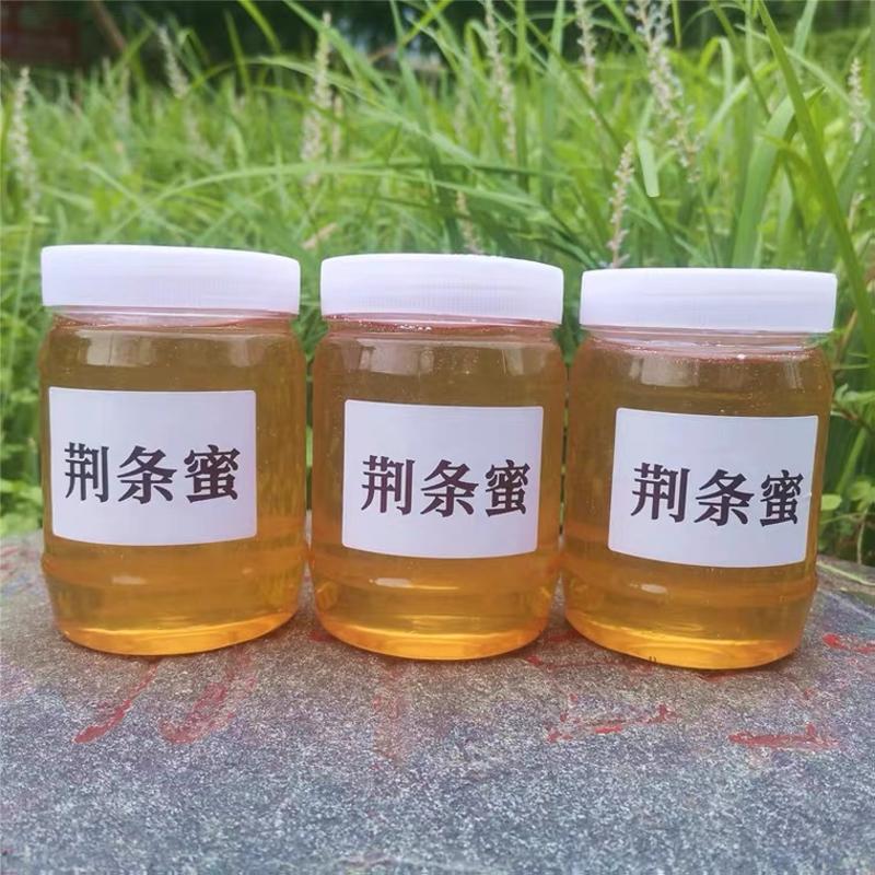 蜂蜜荆条蜜高浓度自产荆条蜜产地山西省孟县