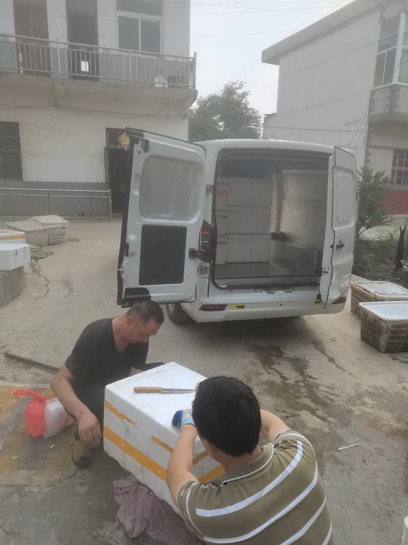 精品小龙虾