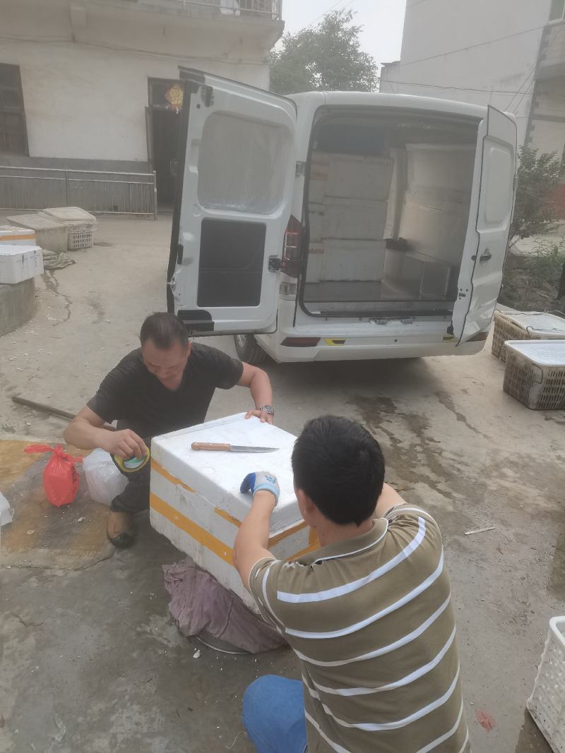 精品小龙虾