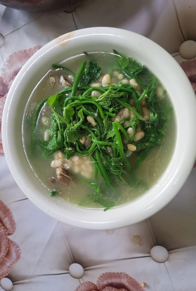 贵州特产佛手瓜尖龙须菜新鲜蔬菜农家菜食用洋瓜尖