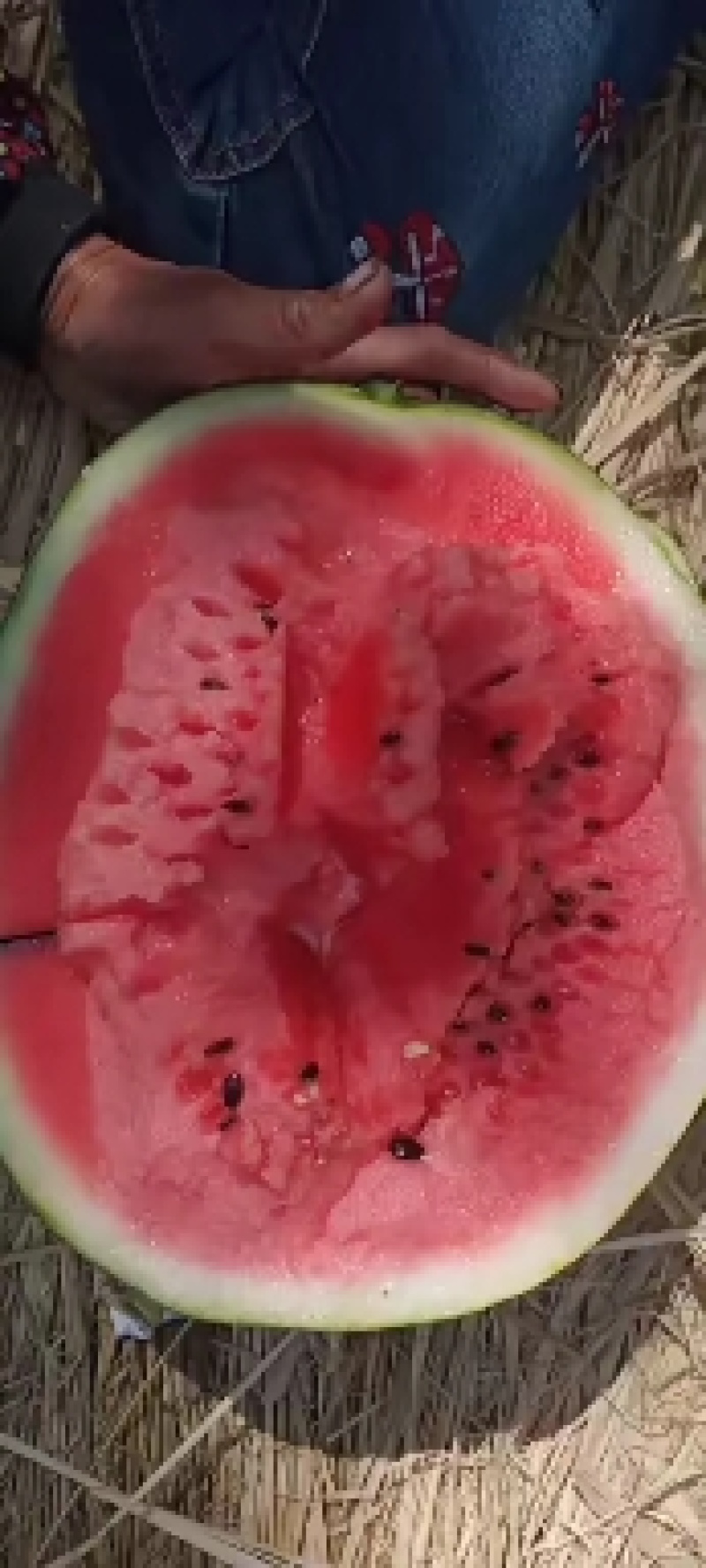 辽宁省大棚甜王精品瓜薄皮红瓤黑籽现摘新鲜水果