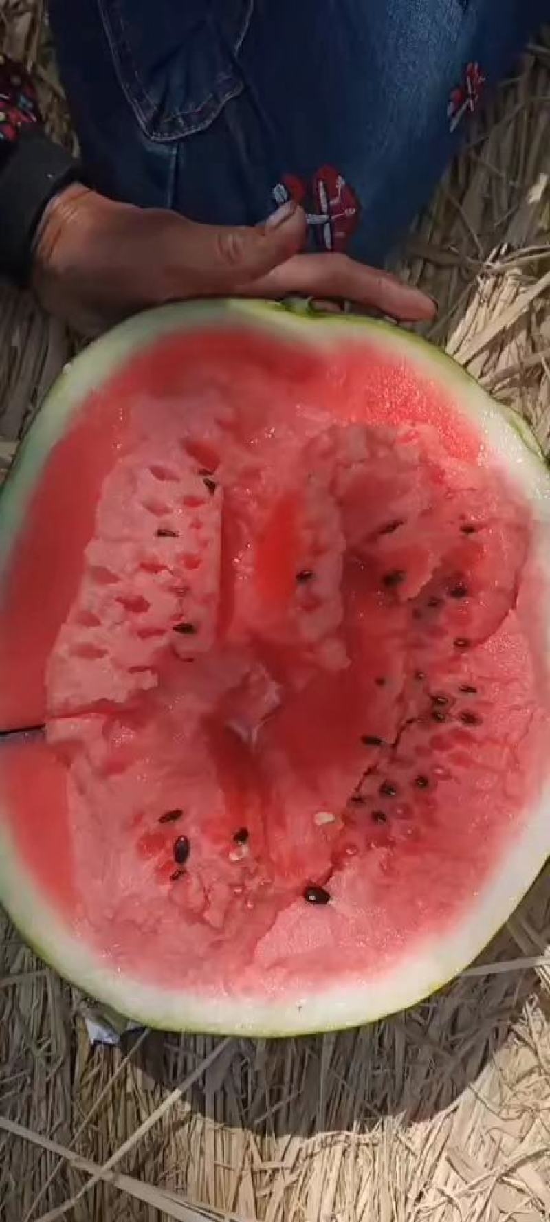 辽宁省大棚甜王精品瓜薄皮红瓤黑籽现摘新鲜水果