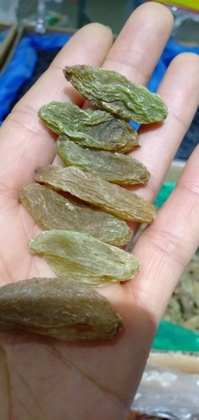 绿香妃葡萄干，特大颗粒颗粒饱满，口感软糯酸甜可视频看货。
