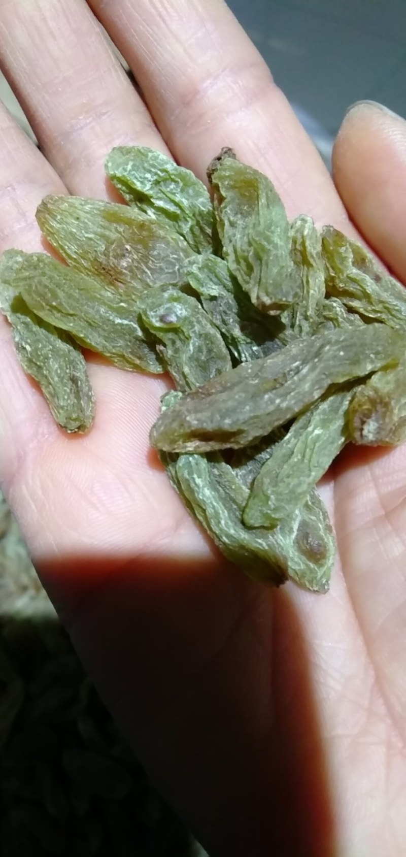 绿香妃葡萄干，特大颗粒颗粒饱满，口感软糯酸甜可视频看货。