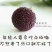 高山东魁杨梅