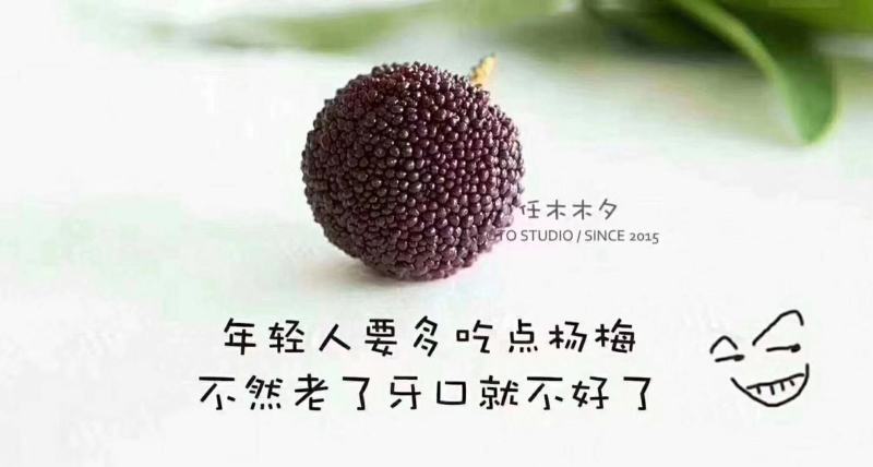 高山东魁杨梅