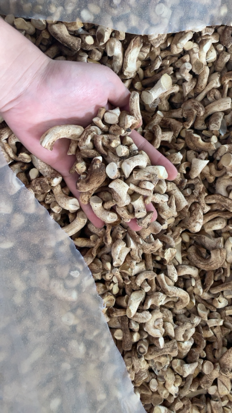 主卖干香菇，双剪菇脚单剪菇脚等优质产品保证干度无杂质