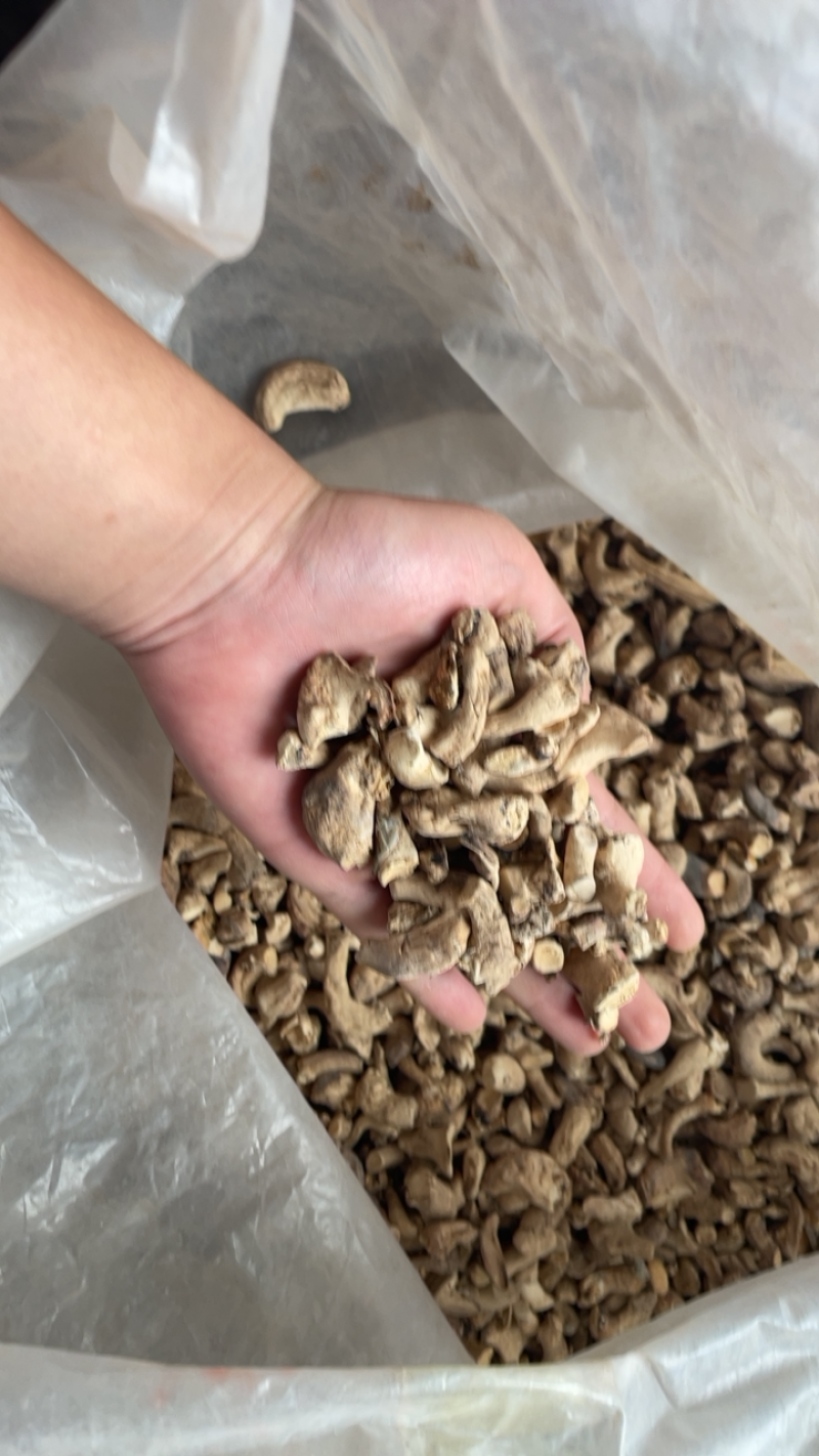 主卖干香菇，双剪菇脚单剪菇脚等优质产品保证干度无杂质