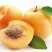 曹杏