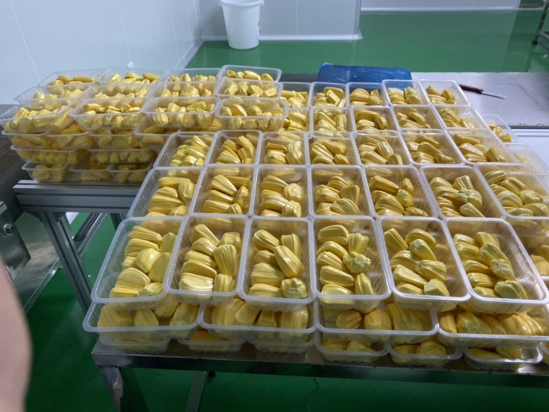 越南红肉菠萝蜜8-14斤一个