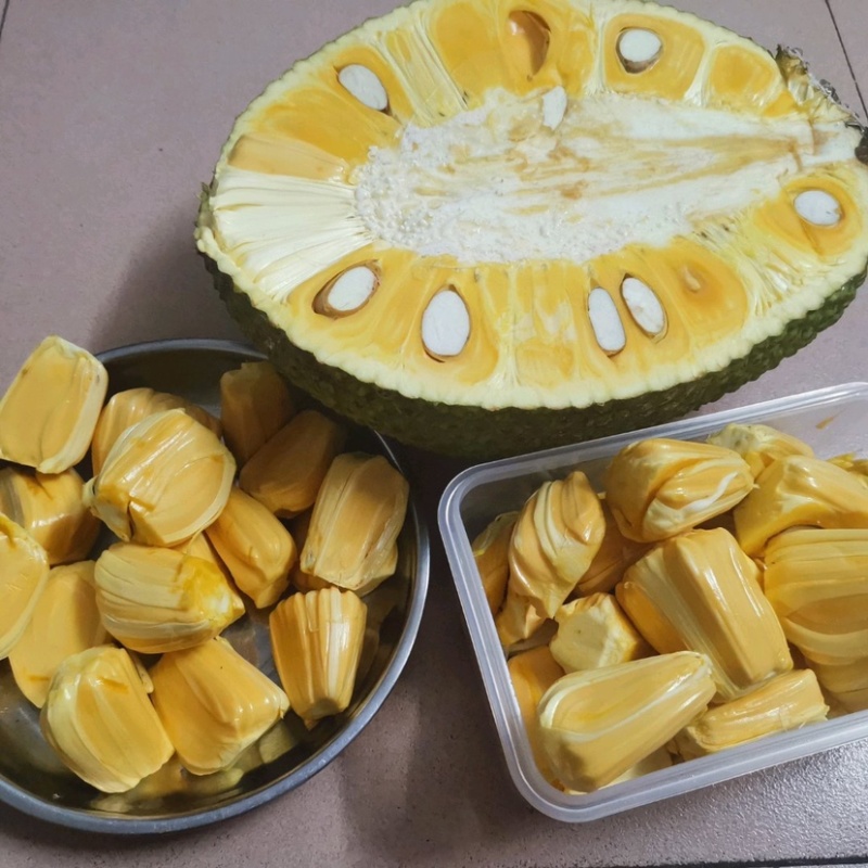 越南红肉菠萝蜜8-14斤一个