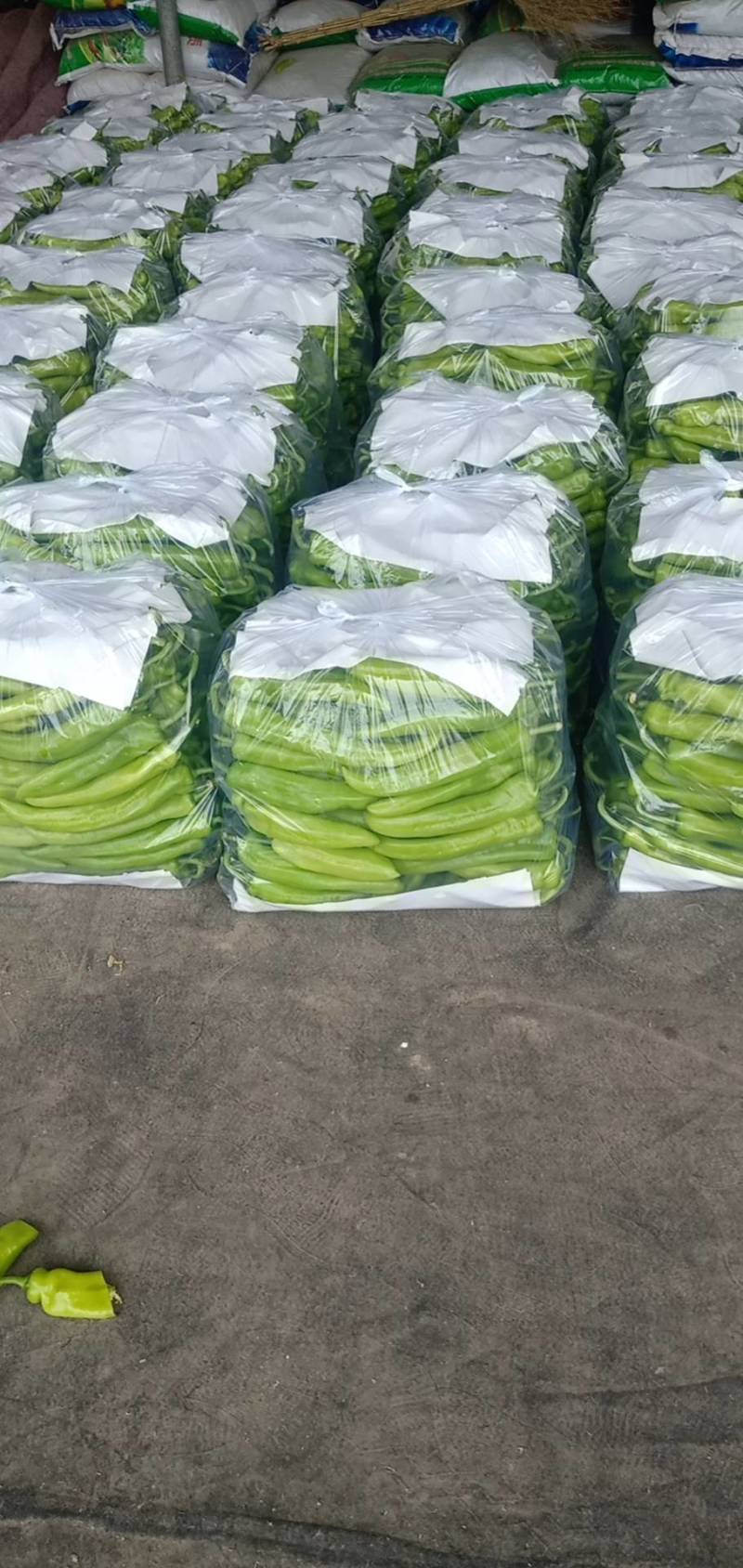 蔬菜