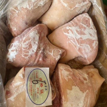 国产猪肘子20斤猪蹄膀后肘包邮