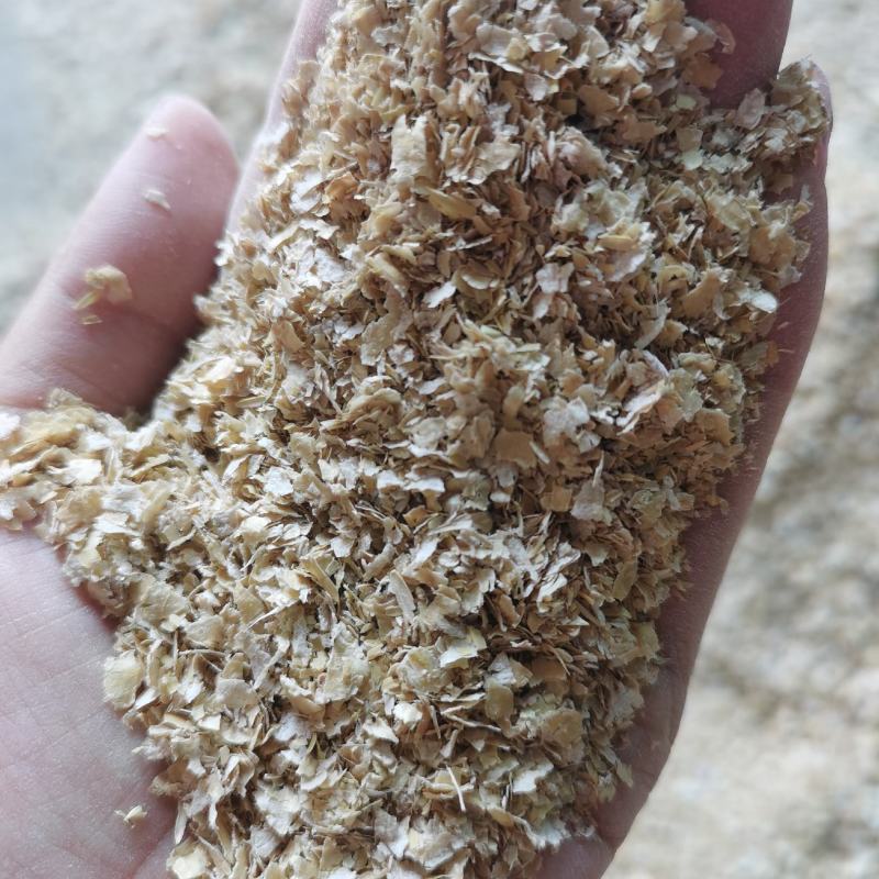石家庄厂家麸皮麦麸常年有货质量保证支持看货