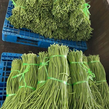 长豆角，长度三十厘米️️️