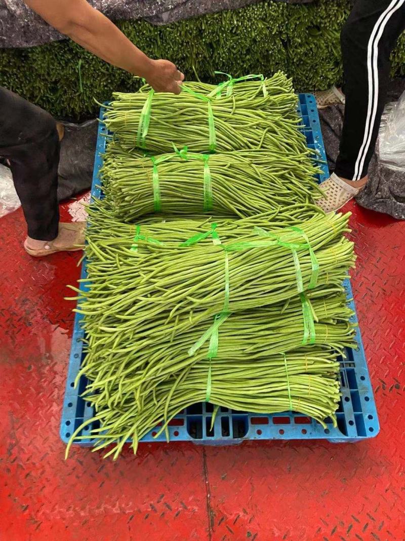 长豆角，长度三十厘米️️️