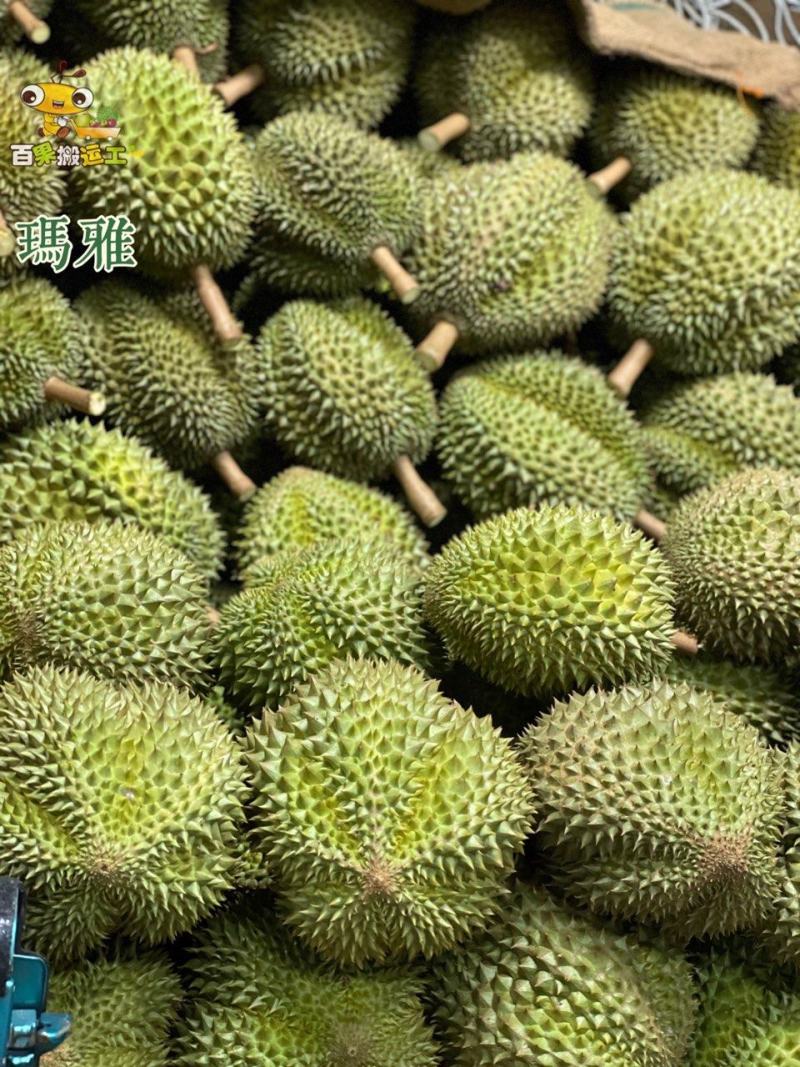 泰国玛雅榴莲8kgs顺丰包邮