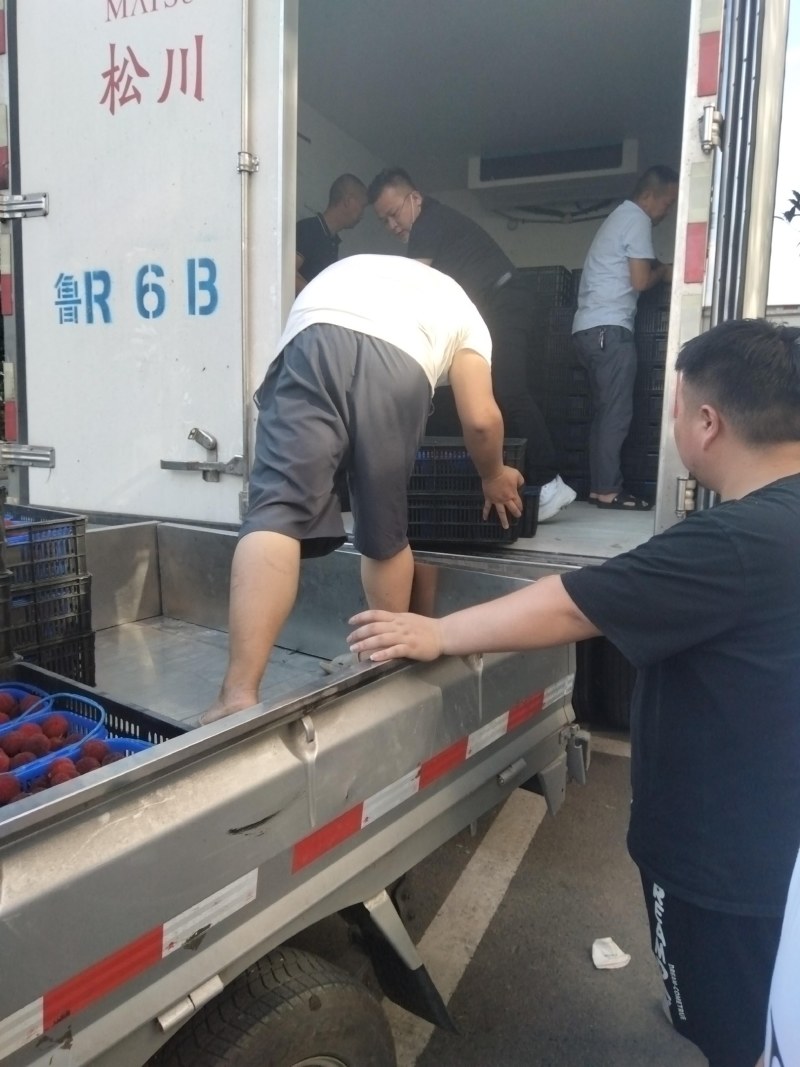 东槐杨梅