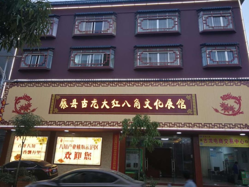 古龙大红八角直生苗嫁接苗大量种植产量高回报高