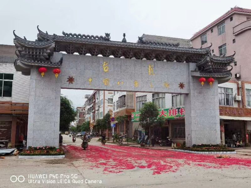 古龙大红八角直生苗嫁接苗大量种植产量高回报高