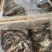 笋壳鱼，加工宰杀腌制入味，半成品批发