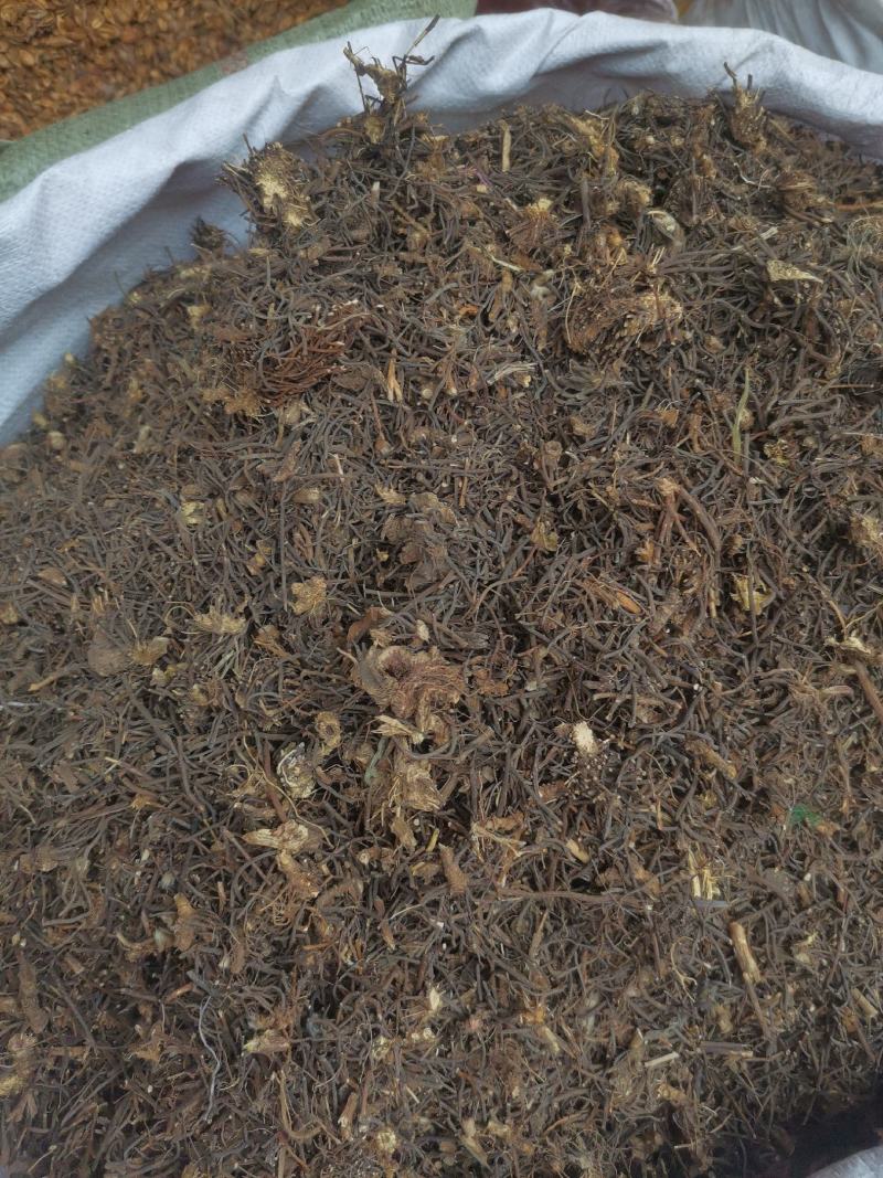 优质东北威灵仙水洗无杂净货量大从优规格齐全