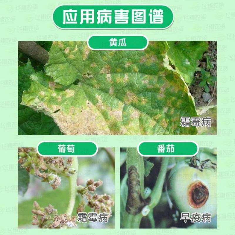 利民保丰80%烯酰吗啉番茄黄瓜晚疫病霜霉病疫病农药杀菌剂