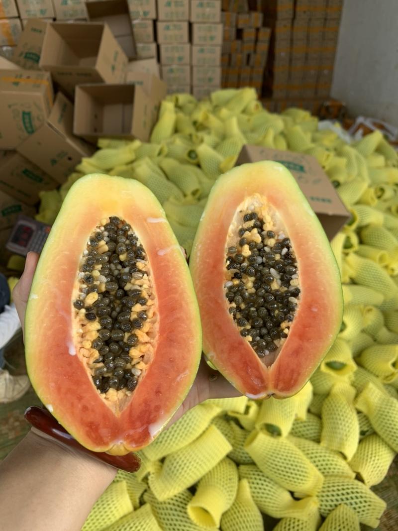 广西冰糖红心木瓜一件代发自有基地种植