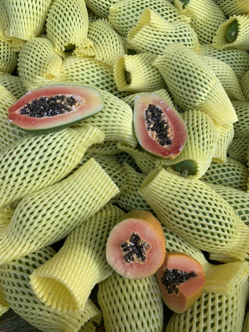 广西冰糖红心木瓜一件代发自有基地种植