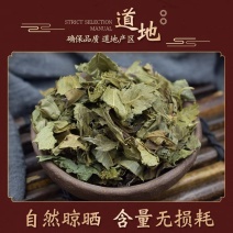 泽兰正品泽兰纯叶泽兰茶野生货蛇王草中草药齐全