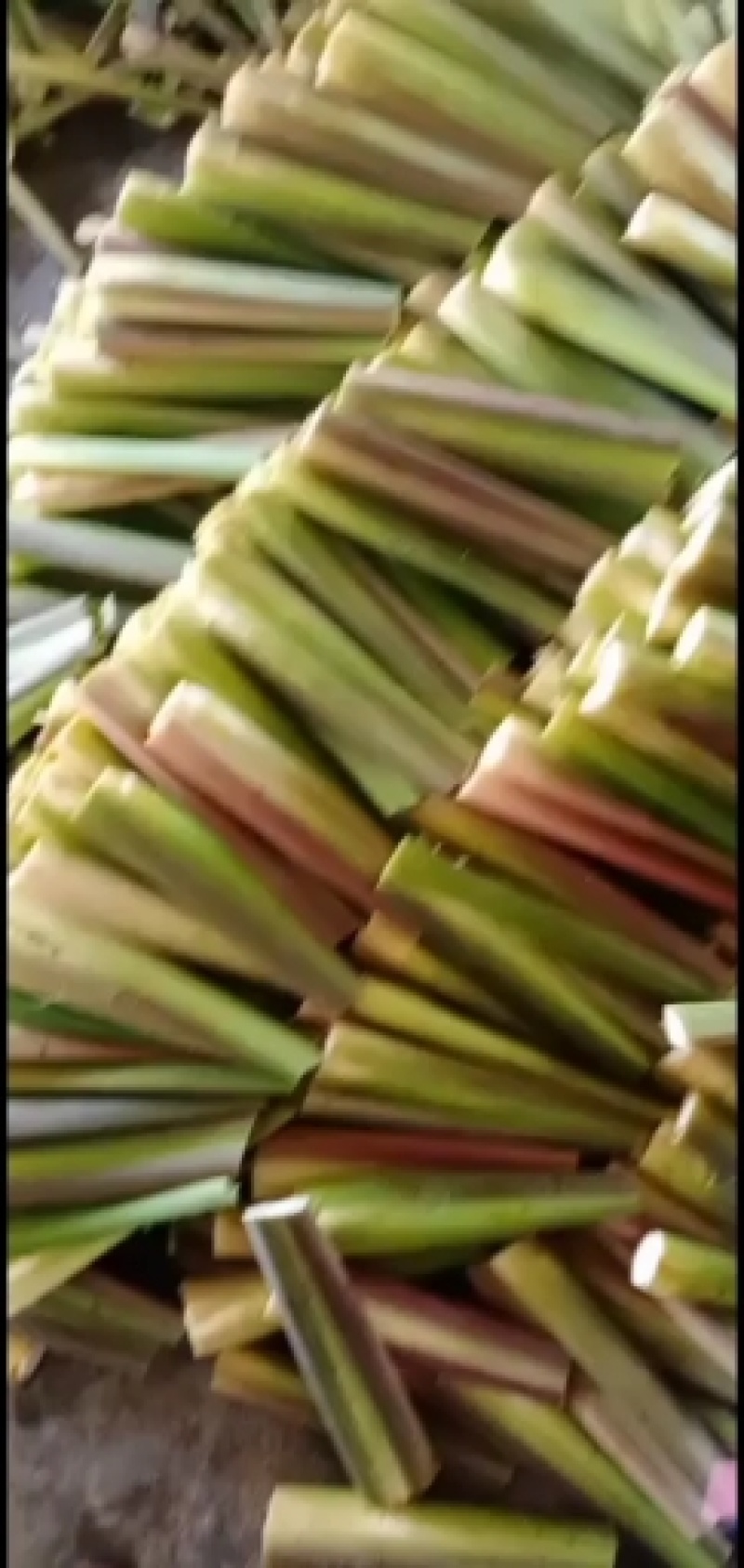 再聚首合作社精品茭白，完整包装，全国发货