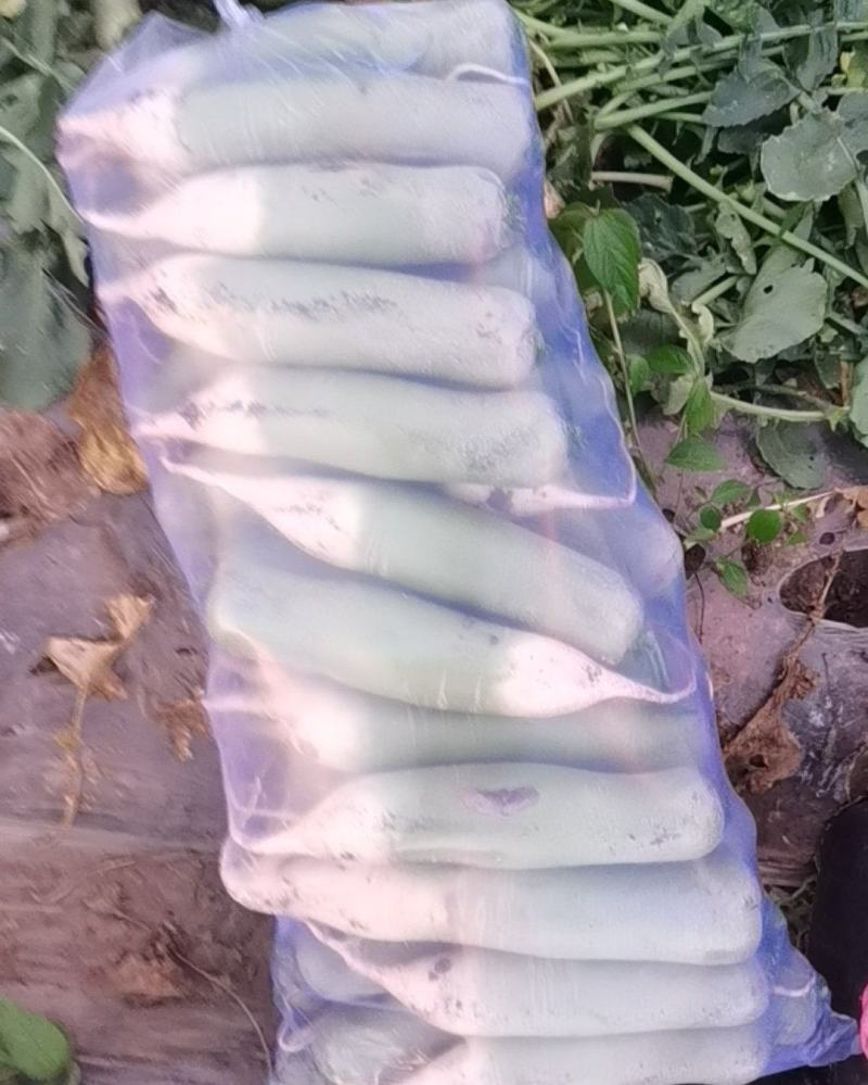 水果萝卜