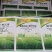 玉米除草剂玉米地苗后专用除草剂安全不伤苗烟嘧磺隆莠去津
