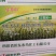 玉米除草剂玉米地苗后专用除草剂安全不伤苗烟嘧磺隆莠去津