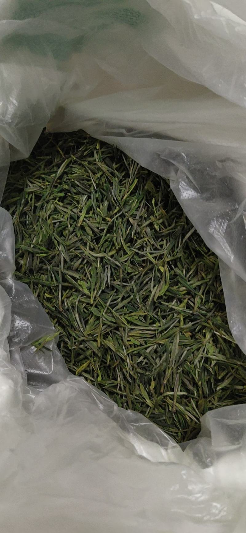 源口云尖有机绿茶，农家茶园，自产自销