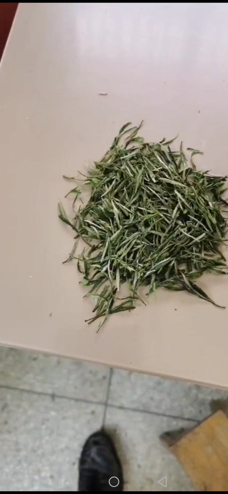 源口云尖有机绿茶，农家茶园，自产自销