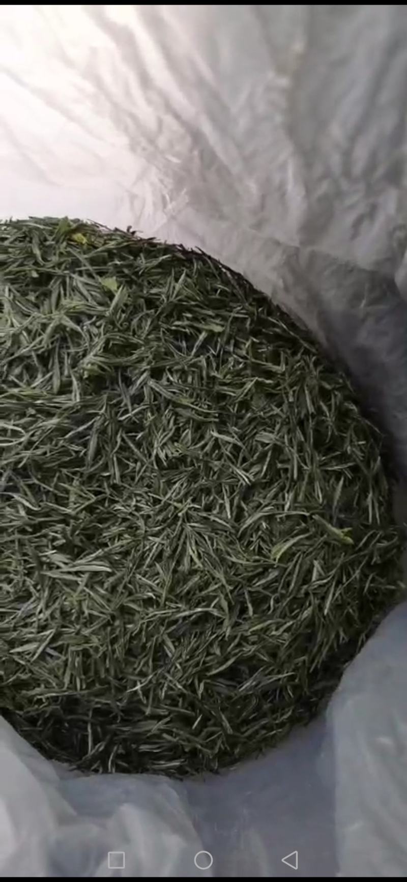源口云尖有机绿茶，农家茶园，自产自销